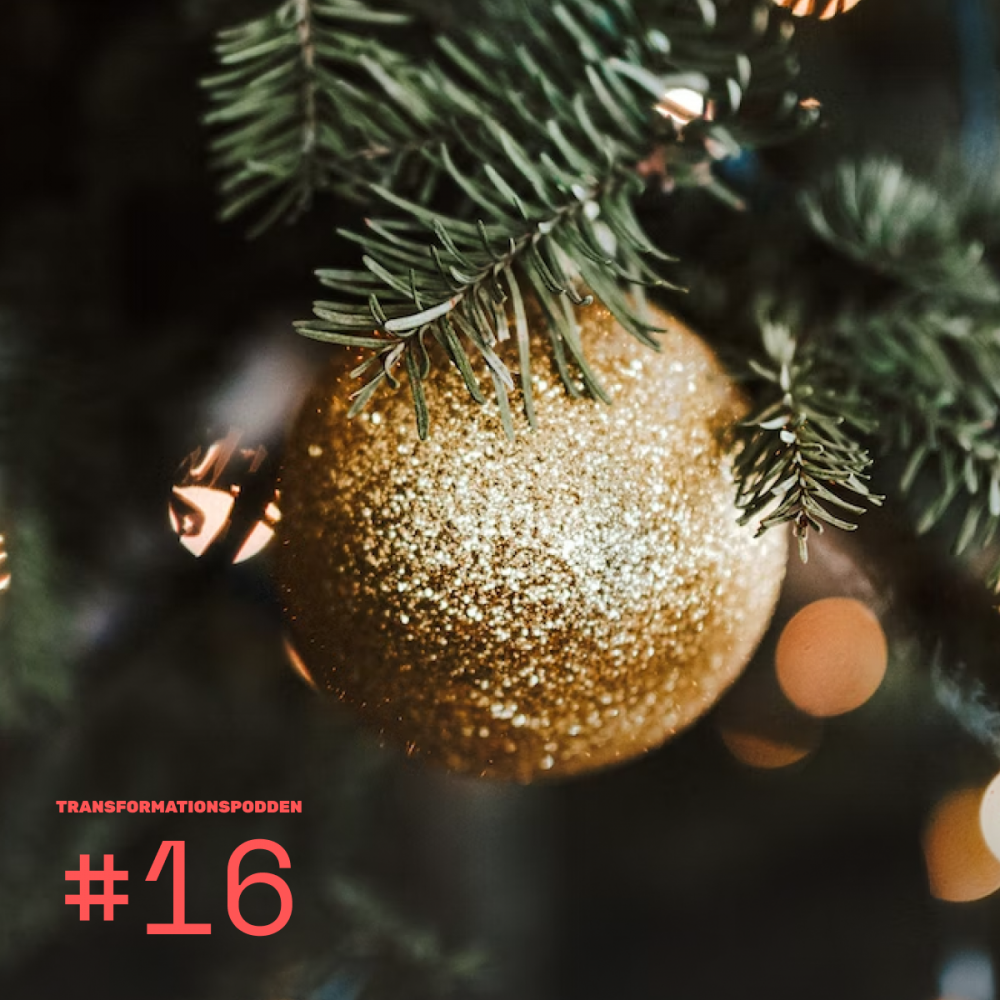 #16 – Julspecial: Insikter från 2019