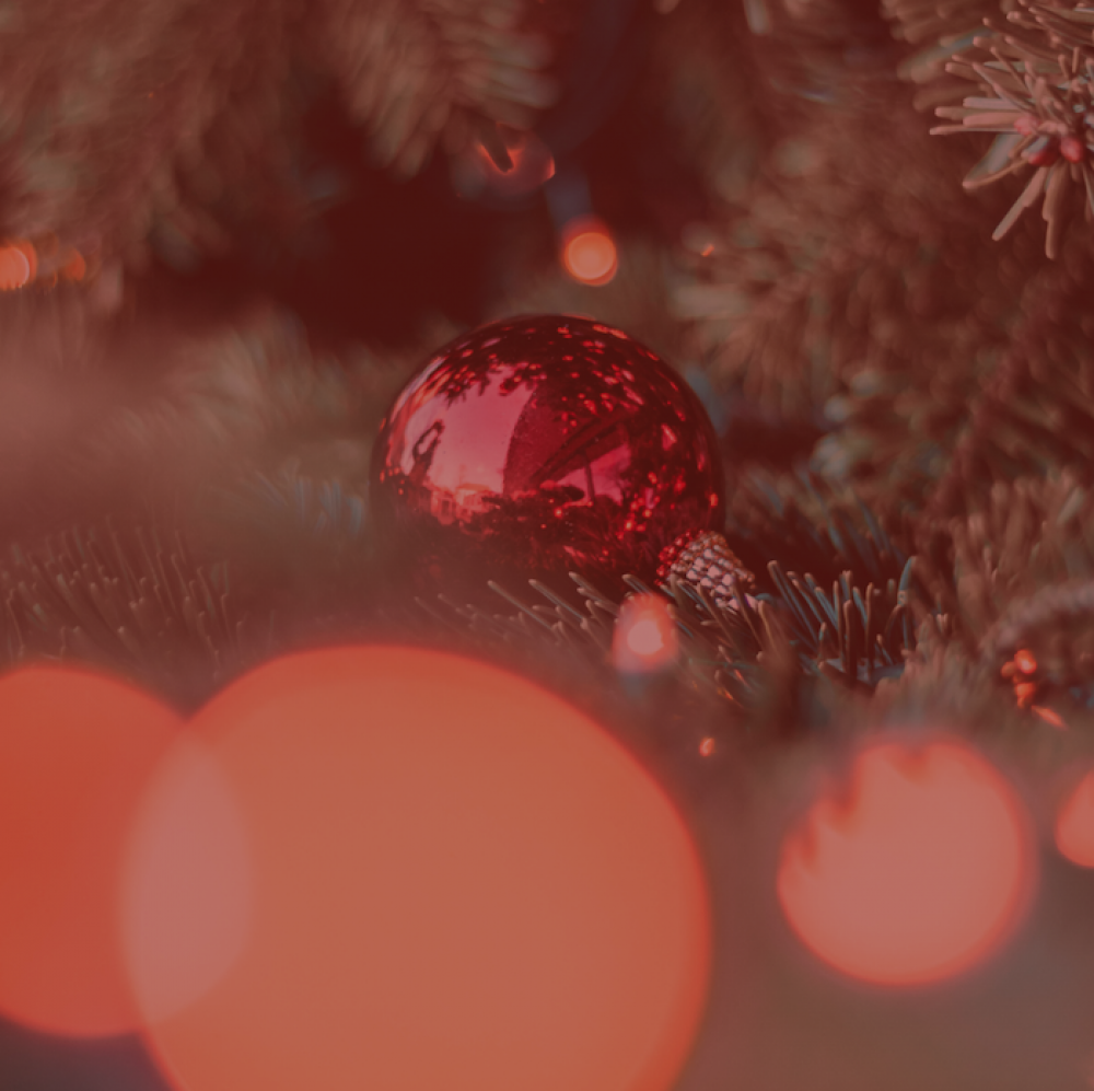 #16 – Julspecial: Insikter från 2019