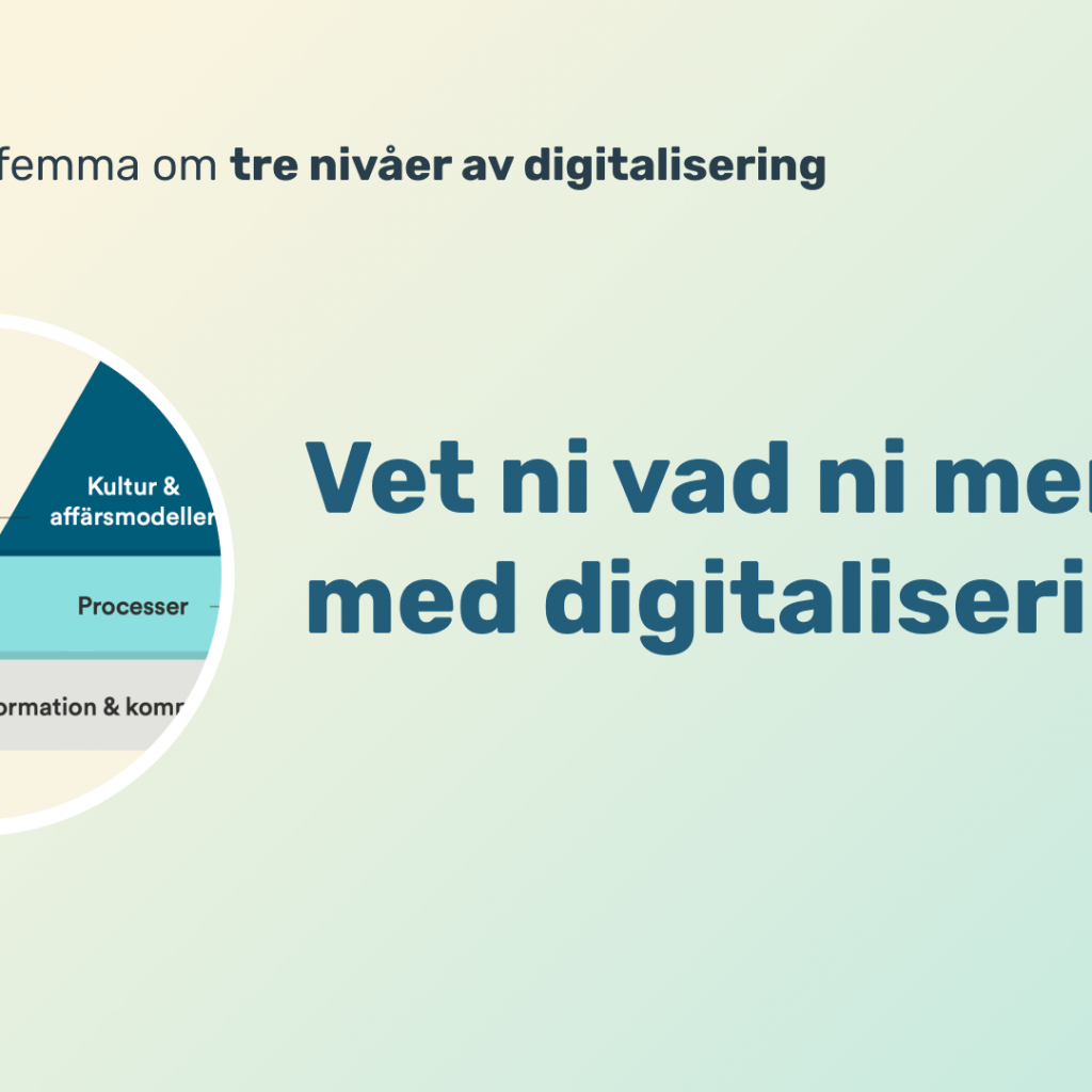 En femma om: 3 nivåer av digitalisering