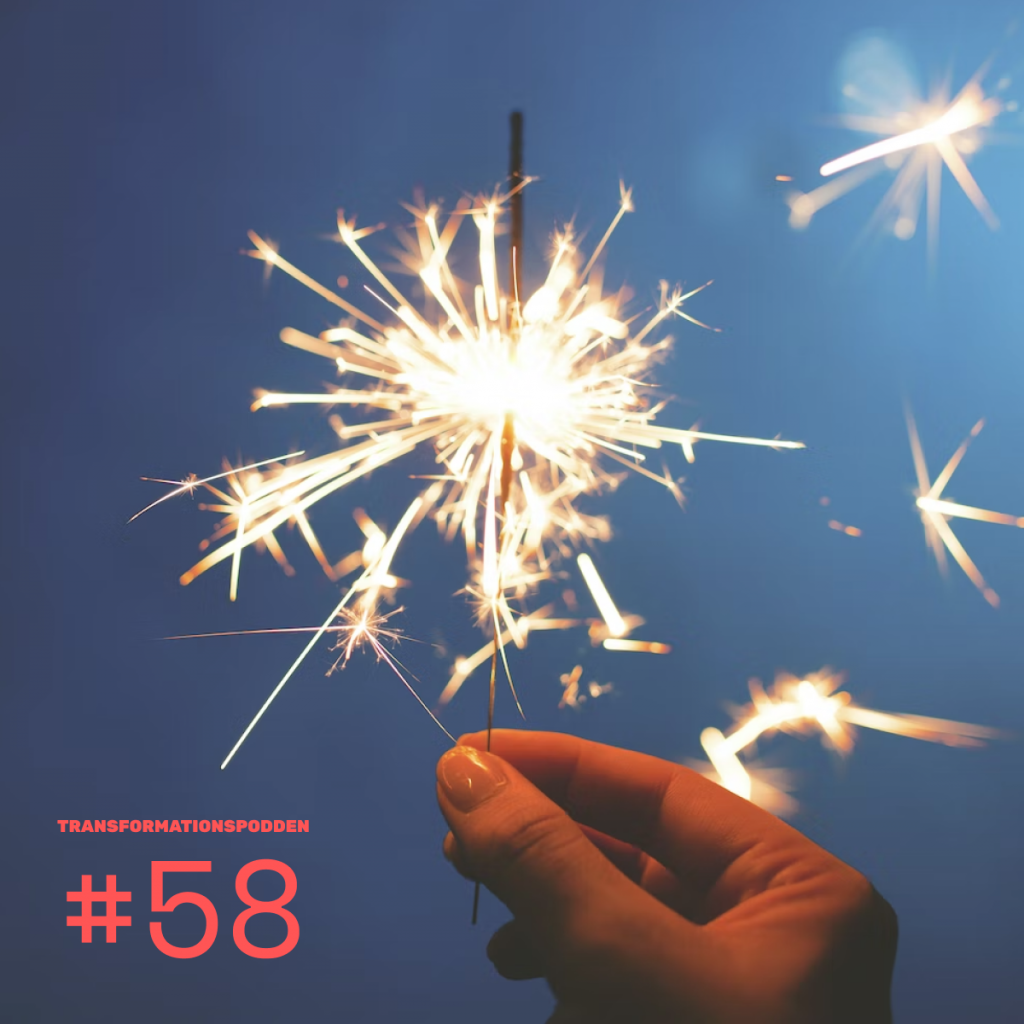 #58 – Julspecial 2021: Insikterna, gästerna, förändringarna