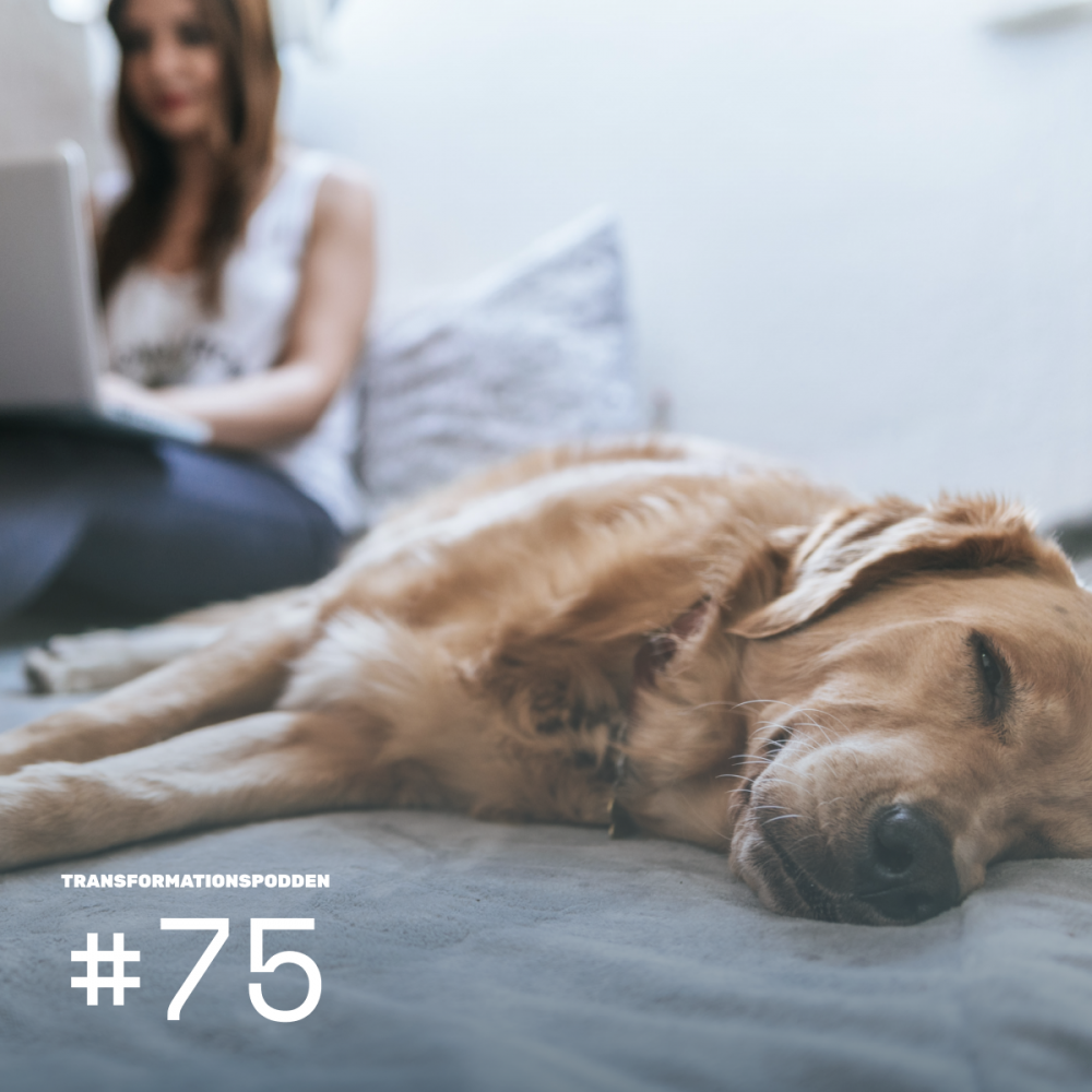 #75 – Hur den platta organisationen frigör innovationskraft