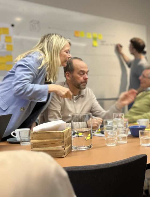 Verksamhets&shy;analys